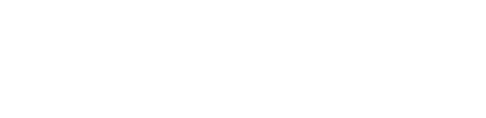 Dermstore Logo